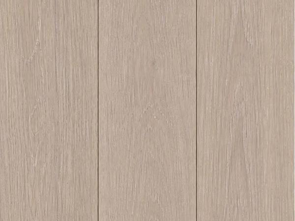 Arctic Mist Oak